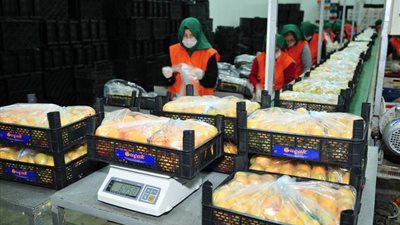 تعرف على رد فعل أردوغان بعد مقاطعة السعودية للمنتجات التركية