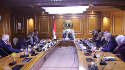 وزير التعليم العالي يستقبل وفد رابطة العلماء المصريين في أمريكا الشمالية وكندا