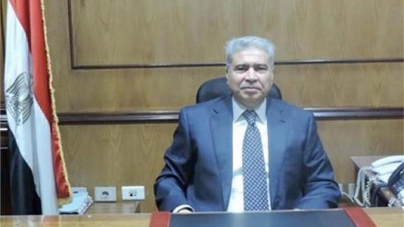 محافظ المنيا