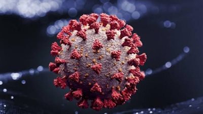 جامعة هوبكنز : إصابات كورونا حول العالم تتجاوز الـ660 مليون حالة