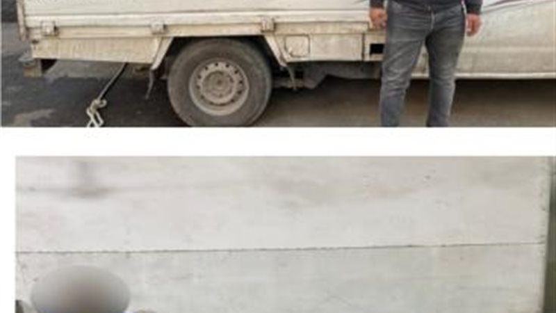 الموجز