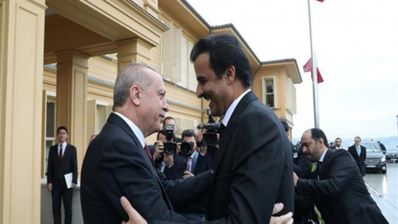 أردوغان وتميم