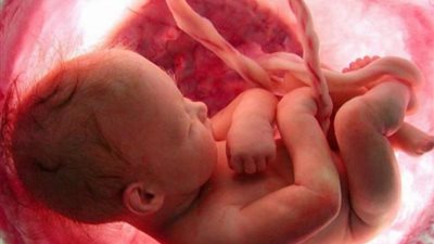 هل نقص « فيتامين E » يهدد بموت الجنين؟.. اعرف الإجابة