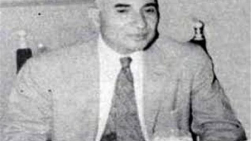محمود فوزي