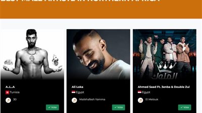 3 جوائز ”أفريما” لـ  أحمد سعد