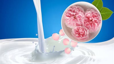 فوائد لن تتوقعها عن تناول مشروب ماء الورد باللبن