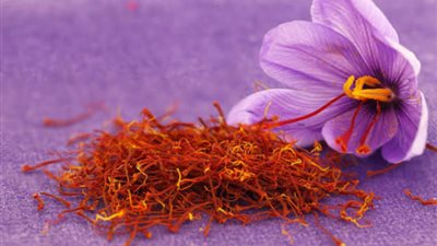 الزعفران.. الروشتة العلاجية المذهلة لهذه الامراض