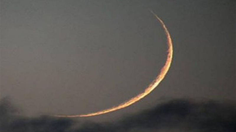 الموجز