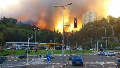 عاجل.. سبب خطير وراء سلسلة الانفجارات التى دمرت قاعدة عسكرية بروسيا