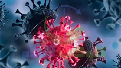 ”الصحة” تحذر من خطورة فيروس ماربورج القاتل و تكشف آلية التطهير لمنع العدوى