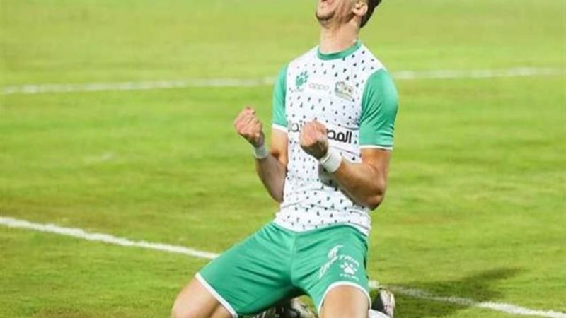 محمود وادي
