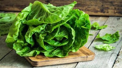 أبرزها حماية القلب ووقاية من السرطان.. فوائد تجهلينها عن الخس فما هي؟