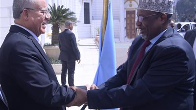 بالصور .. حنفي جبالي يستقبل رئيس مجلس الشعب الصومالي