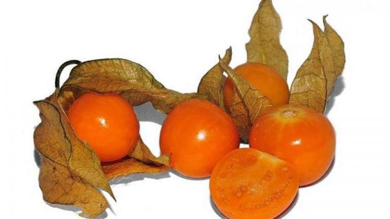 الحرنكش