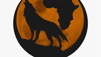 إستعدادات أمنية مكثفة لتأمين مباراة الأهلي والمقاولون الليلة