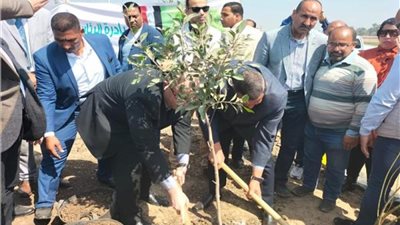 وزير التنمية المحلية ومحافظ بني سويف يتفقدان أعمال مبادرة «100 مليون شجرة»