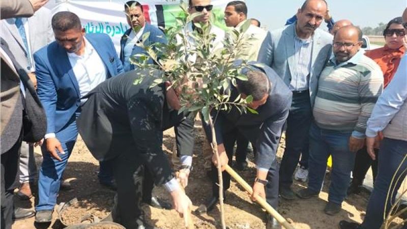 الموجز