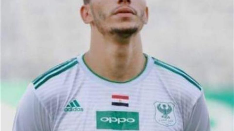 محمود وادي