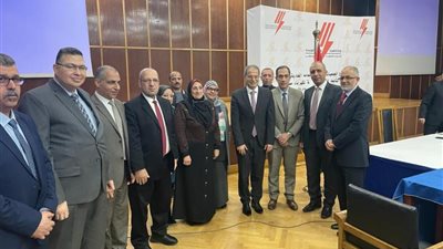 1.6 مليار جنيه استثمارات الوجة القبلي لإنتاج الكهرباء.. صور