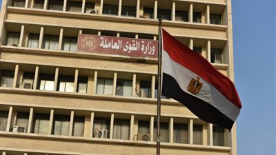 رواتب مجزية وبدون خبرة.. توفير فرص عمل للشباب بهذه المحافظة