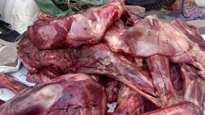 فيديو صادم.. «الجيزة» تضبط لحوم حمير و دواجن فاسدة قبل طرحها بالأسواق