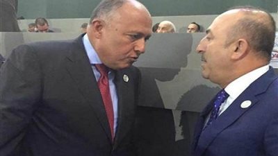 شكري يتوجه لأنقرة غدا لبحث تطورات الأوضاع الإقليمية والدولية