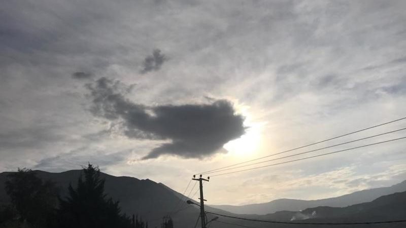 الموجز