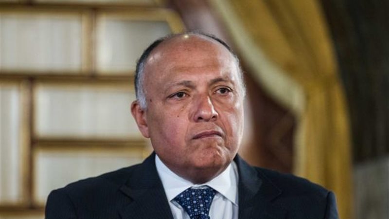 سامح شكرى وزير الخارجية