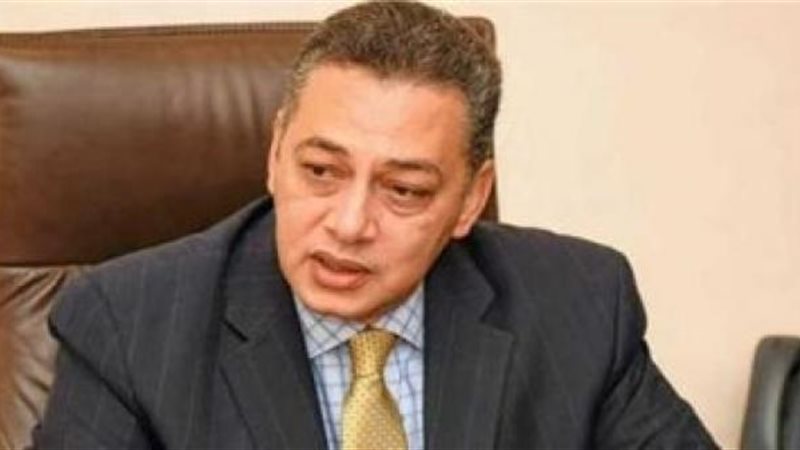 السفير المصري أشرف