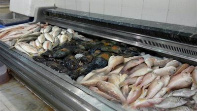 37 جنيه سعر كيلو السمك البلطى بسوق العبور اليوم