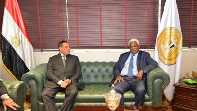 تفاصيل لقاء وزير التنمية المحلية وسكرتير عام منظمة المدن والحكومات المحلية الأفريقية