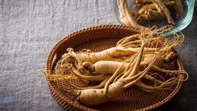 فوائد غير متوقعة عن «الجنسنج».. فما هي؟