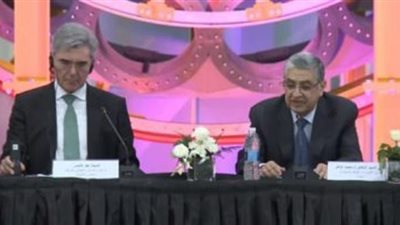 وزير الكهرباء: بحلول 2035 نستهدف رفع نسبة الطاقة المتجددة لـ60% بدلا من 42%