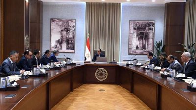 «مدبولي» يستعرض ملامح مشروع ضخم للبتروكيماويات في المنطقة الاقتصادية