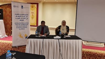 صور.. افتتاح الورشة الثانية  لتدريب مفتشي العمل