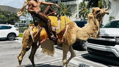 محمد رمضان يتجول بالجمل في شوارع ميامي الأمريكية.. تعرف على السبب