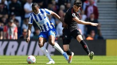 نيوكاسل يستضيف برايتون الليلة فى الدورى الإنجليزى