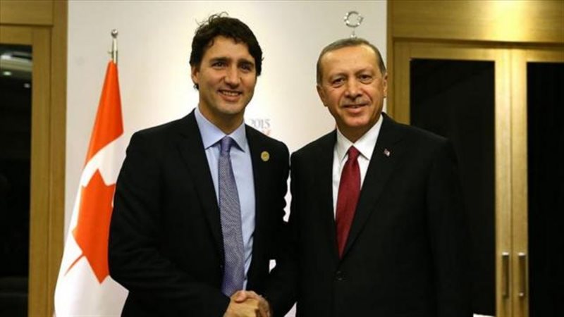 الموجز