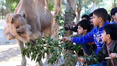 6 نصائح لحماية الأطفال من العدوى عند زيارة حدائق الحيوان