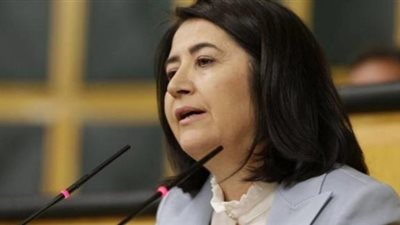 حكومة أردوغان تتهرب من طلب إحاطة بالبرلمان حول إرسال مرتزقة إلى ليبيا وأذربيجان