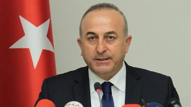 وزير الخارجية التركى