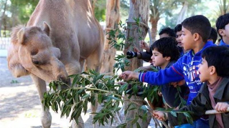 صورة أرشيفية