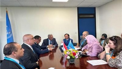 تفاصيل لقاء وزيرا الإسكان والتنمية المحلية ومديرة برنامج المستوطنات البشرية في الأمم المتحدة