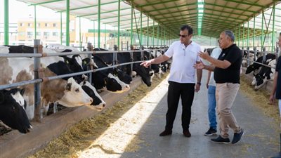 بنك الطعام المصري يعتمد خطة مستقبلية لتوسعات مزرعة ”وفرة” بالبحيرة