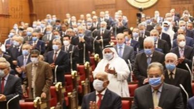 بدء التصويت علي اختيار وكيلي مجلس الشيوخ