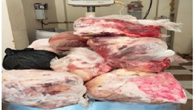 «الجيزة» تضبط 16 طن مصنعات لحوم وأسماك مملحة ومدخنة فاسدة