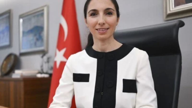 حفيظة جاي إركان