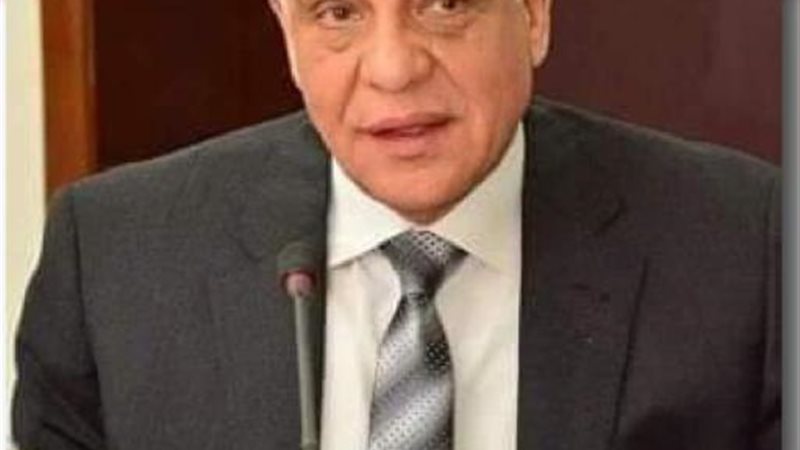 محافظ الجيزة