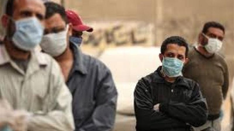 كورونا فىى مصر