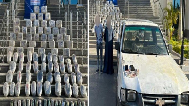 العناصر الإجرامية